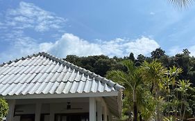 เดอะโคฟ